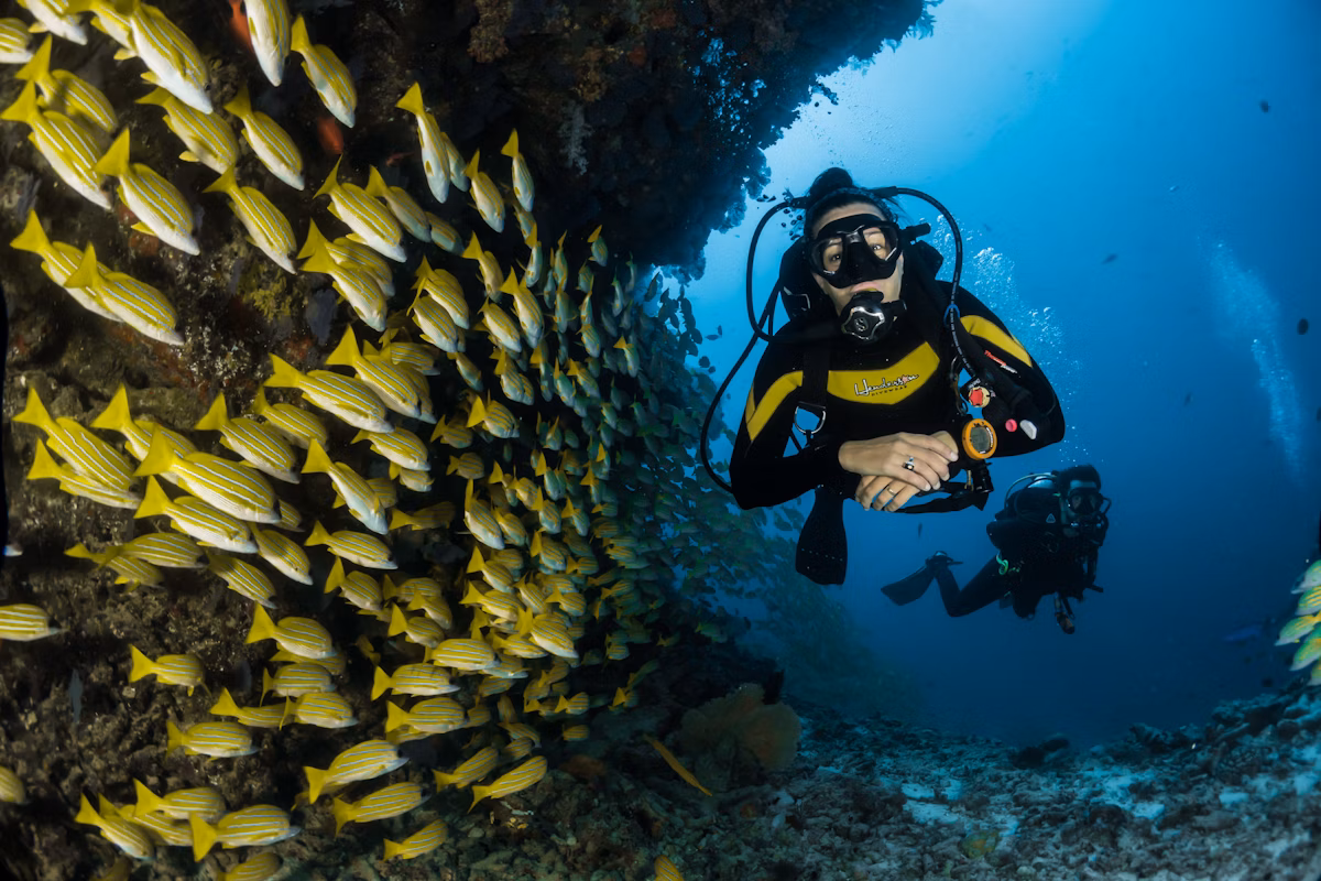 Coral reef in Bali with colorful fish