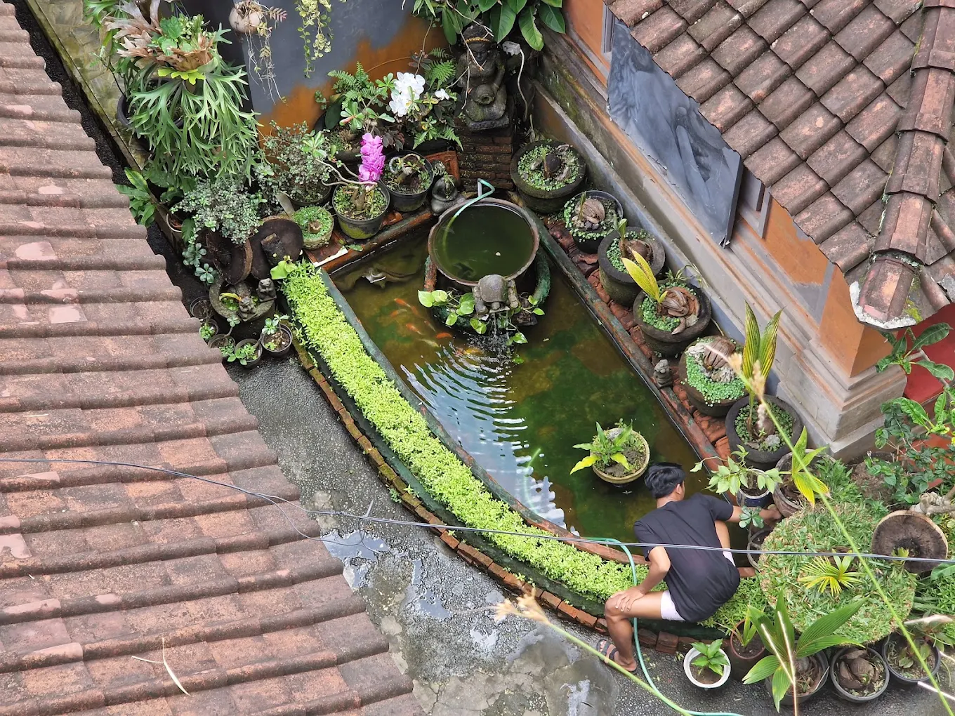 Shared dorm with bunks